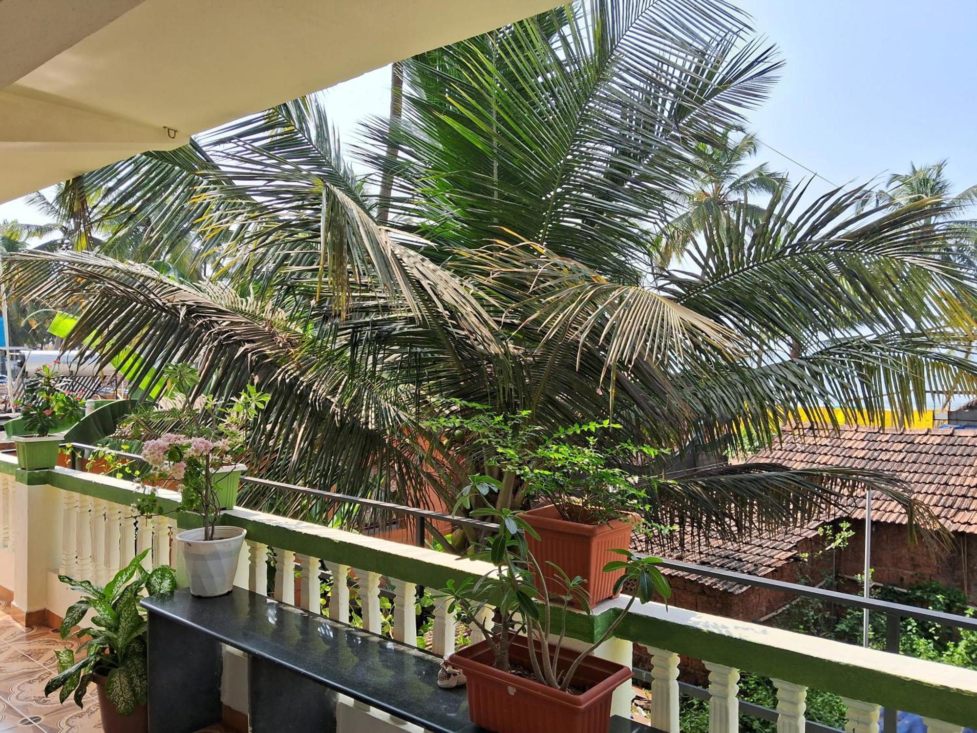 Cupid'S Heaven Resort Agonda Rom bilde